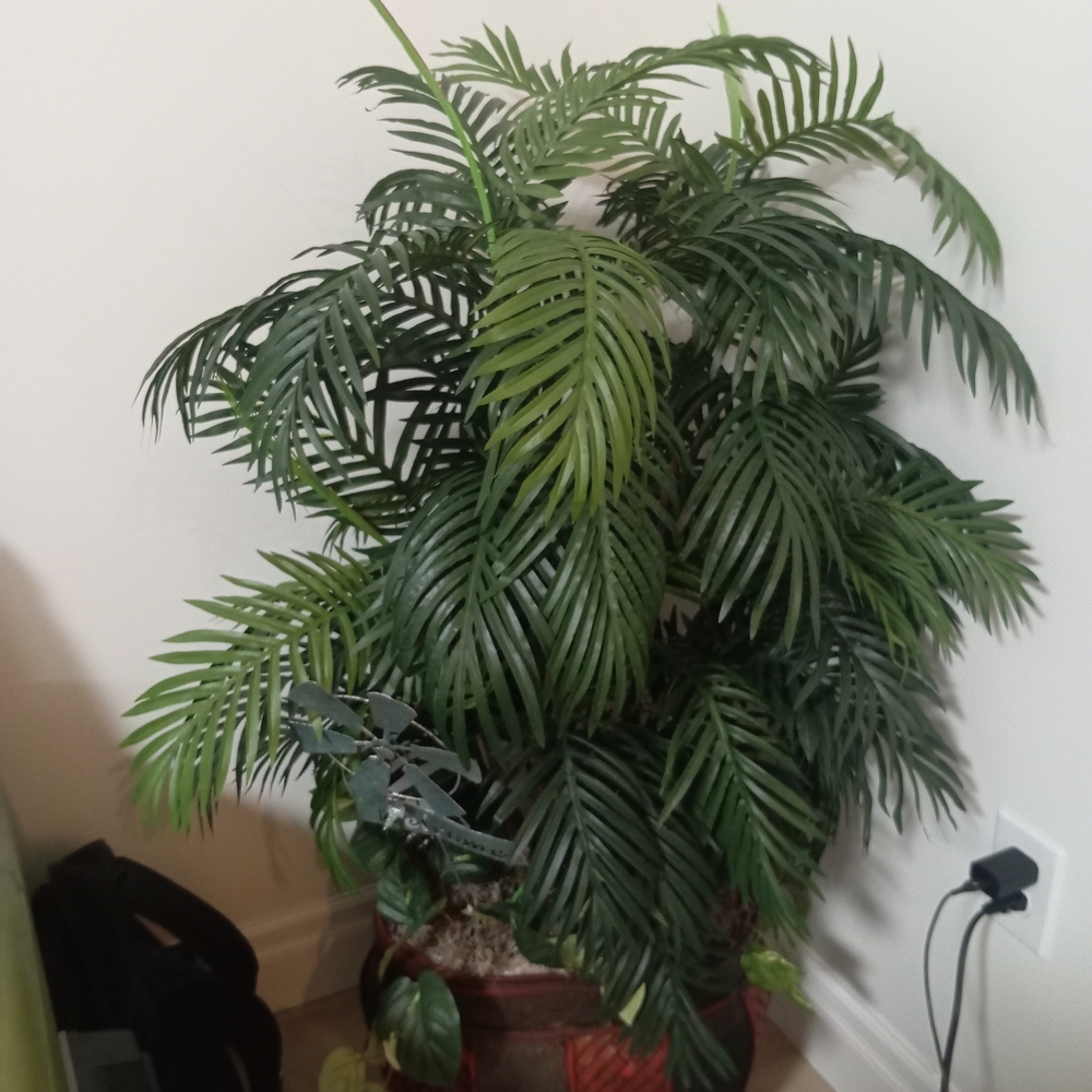 Artificial Green Palm Plant